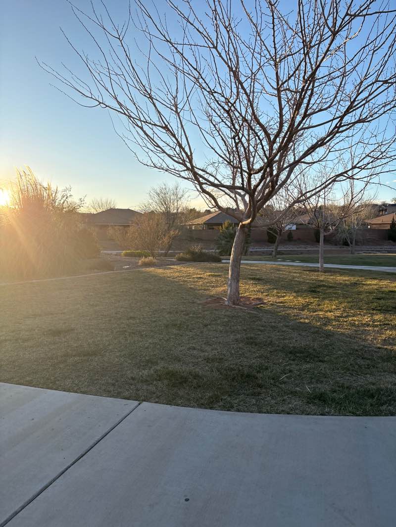 walking near me in Millcreek Park in spring