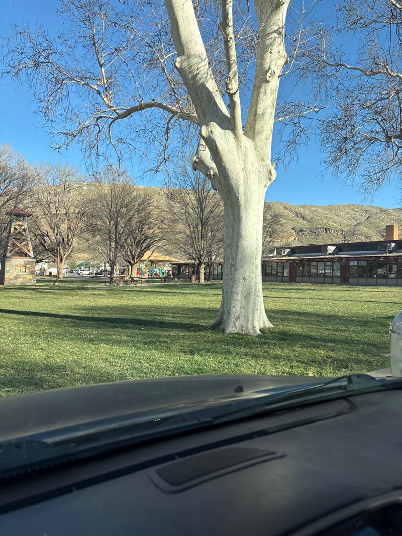 walking near me in Community Center Park in spring