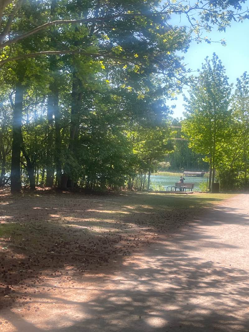 walking near me in Oak Grove Lake Park in spring