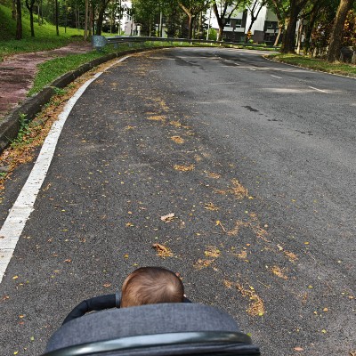 Opella GBS KL Liesen post image