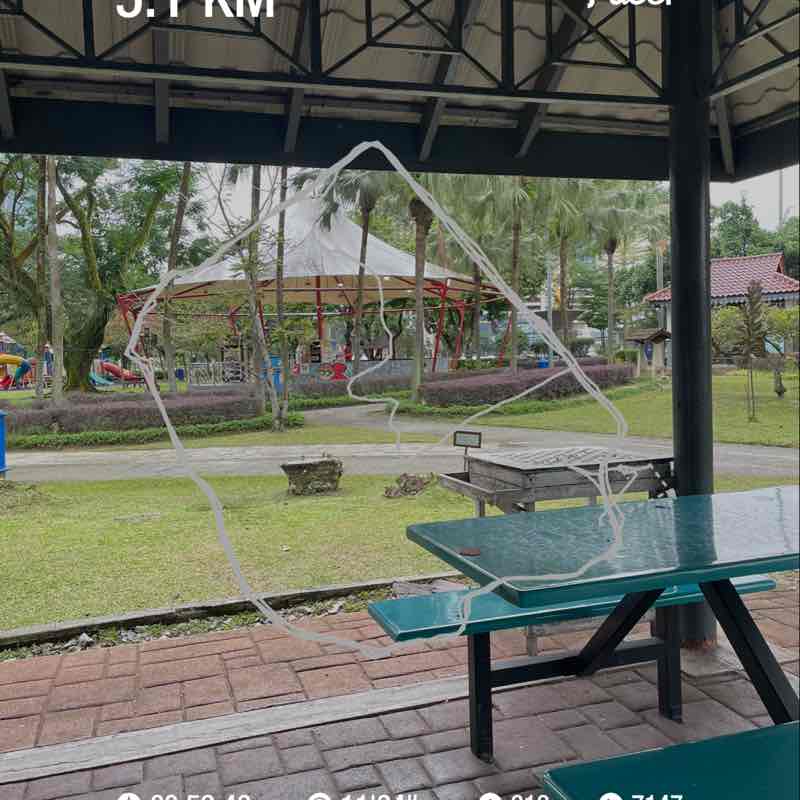 Jacqualine Lesai Mercer post 1