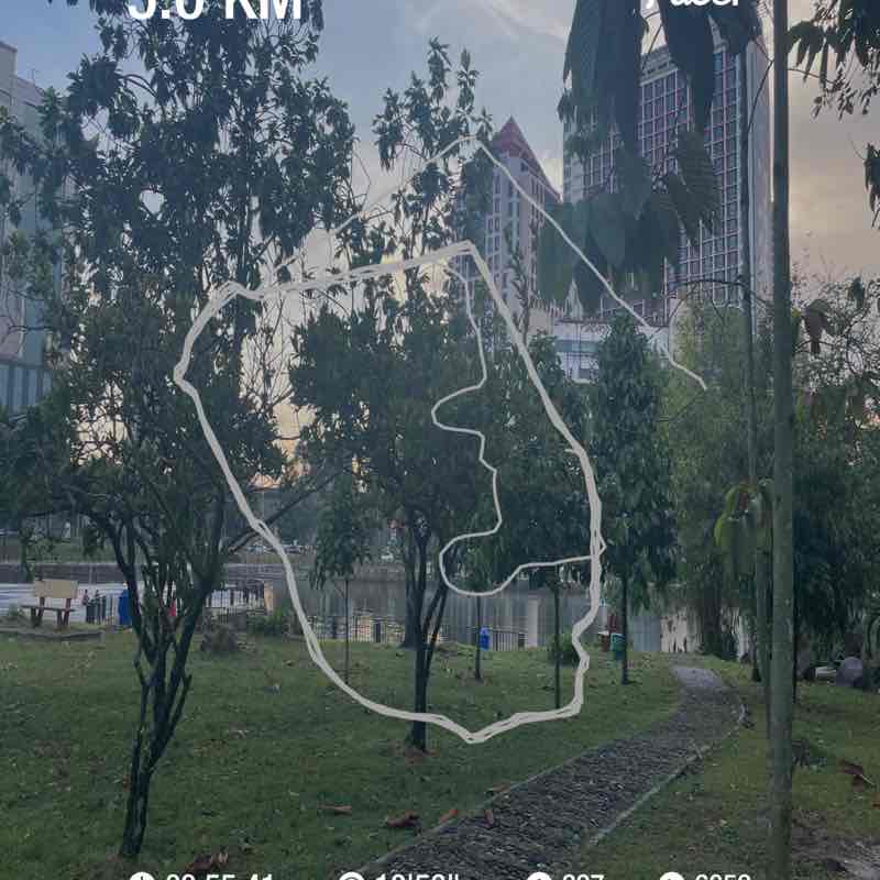 Jacqualine Lesai Mercer post 1