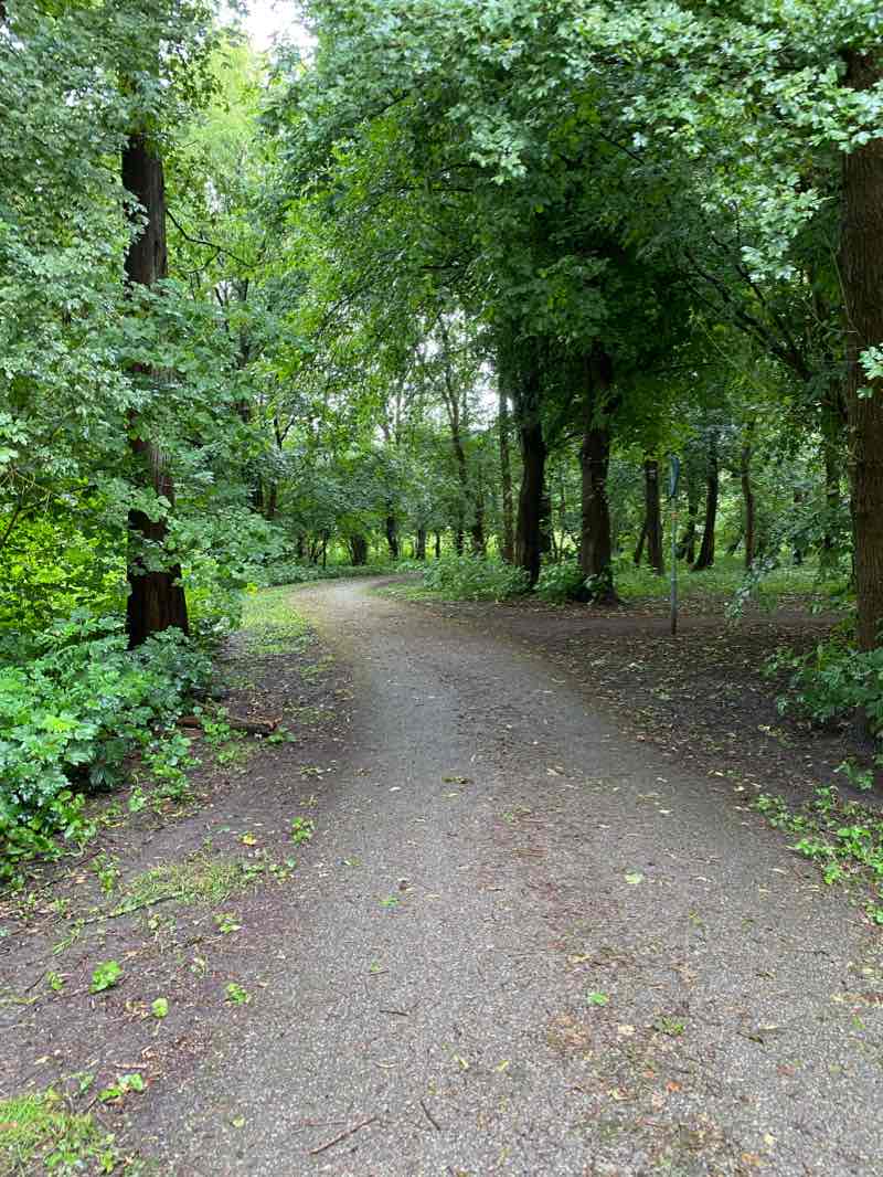 walking near me in Ruigeplaatbosch in winter