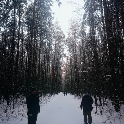 Ходоки 4.1 (Дивизион АУП) Татьяна Муравьева post image