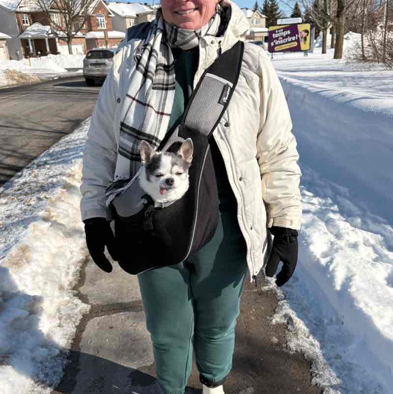 CC Alterna Tara Sevigny π¨π¦ post image