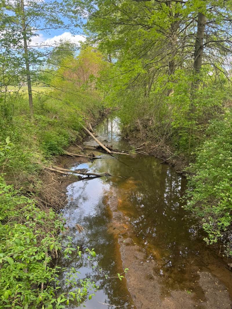 walking near me in Quincy Park in summer