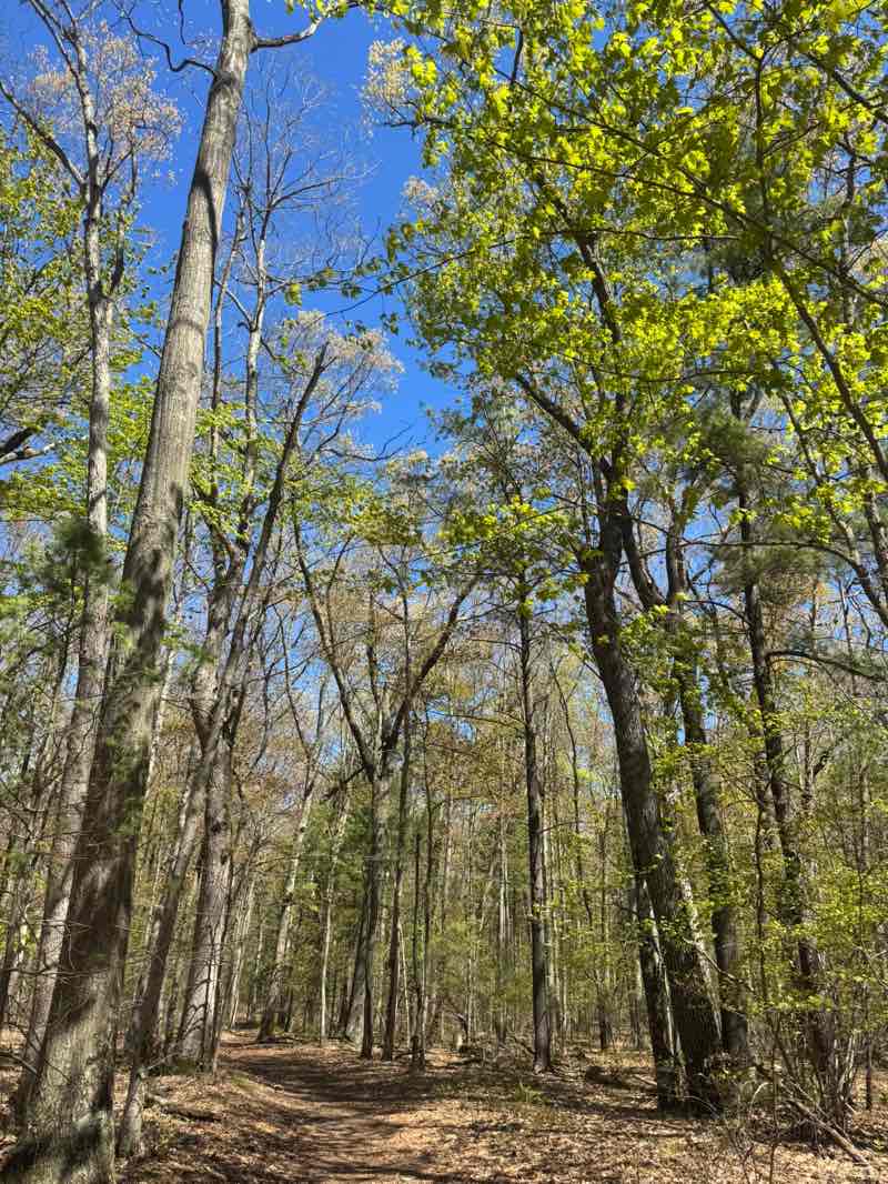 walking near me in Hofma Preserve in spring