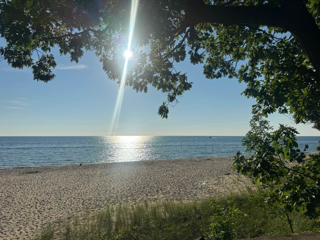 walking near me in Olive Shores County Park in summer