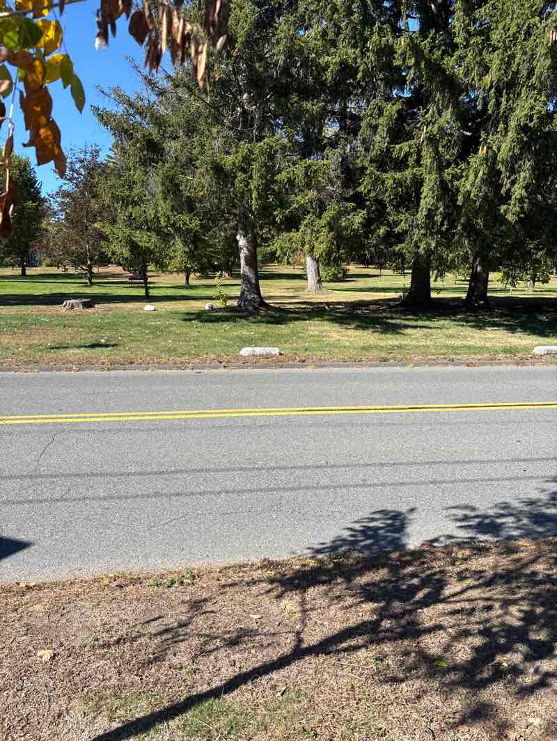 walking near me in Childs Park in autumn