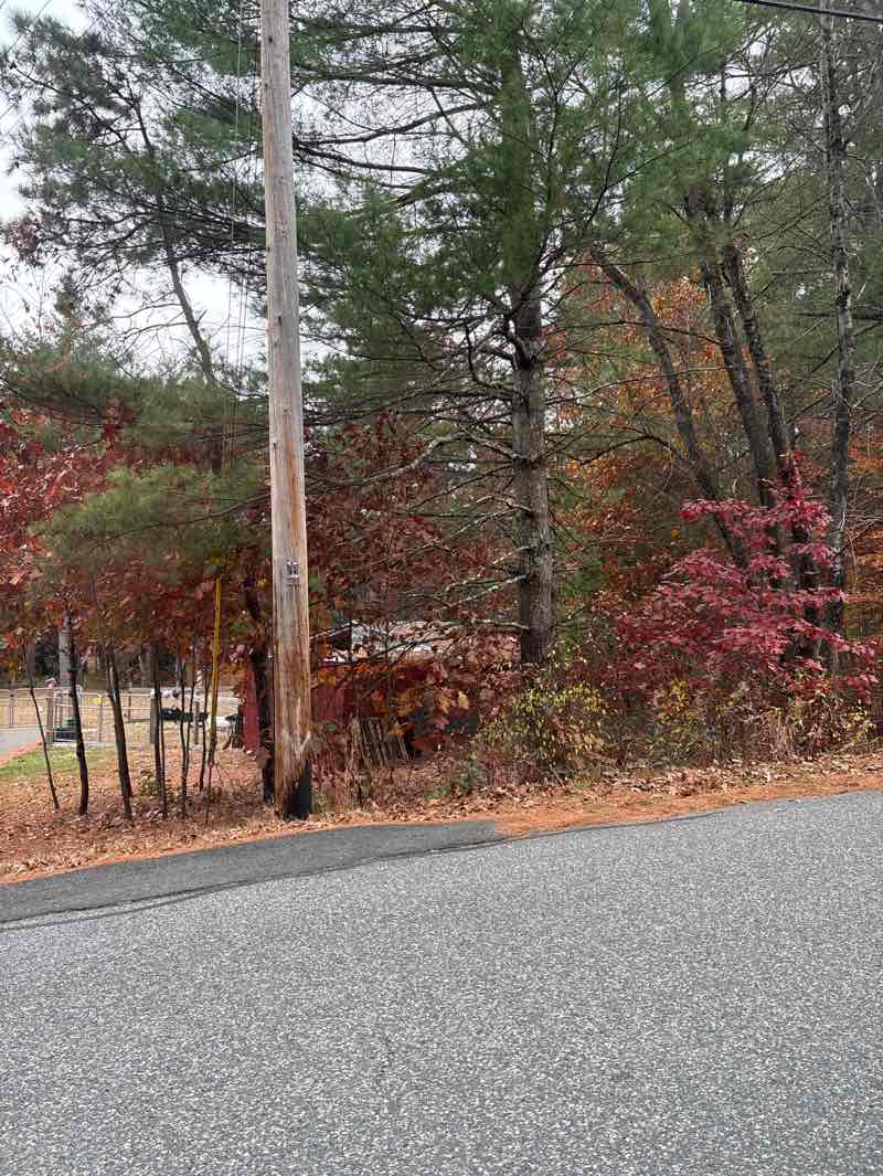 walking near me in Warren Wright Road Conservation Area in autumn