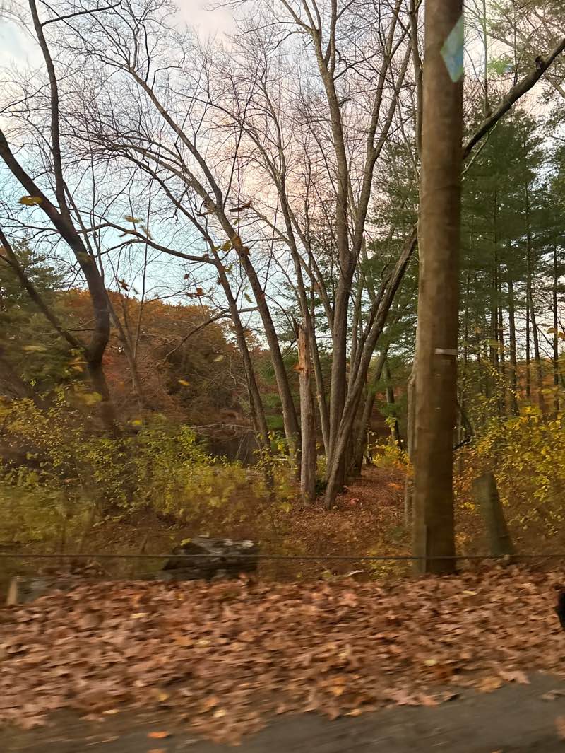 walking near me in Upper Mill River Conservation Area in autumn