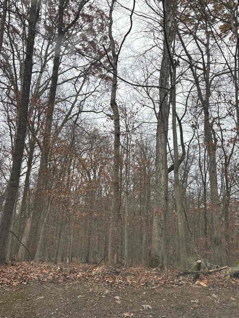 walking near me in Blockhouse Point Conservation Park in autumn