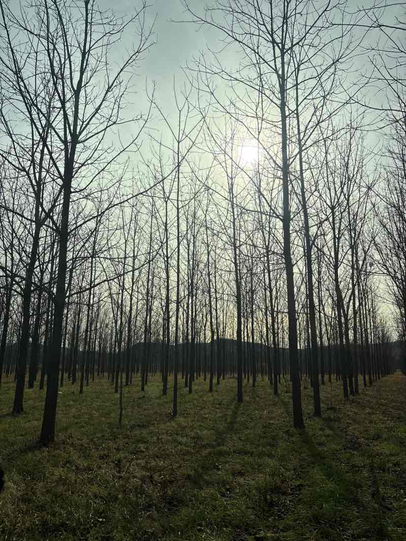 walking near me in Silvio O Conte National Fish and Wildlife Refuge in autumn