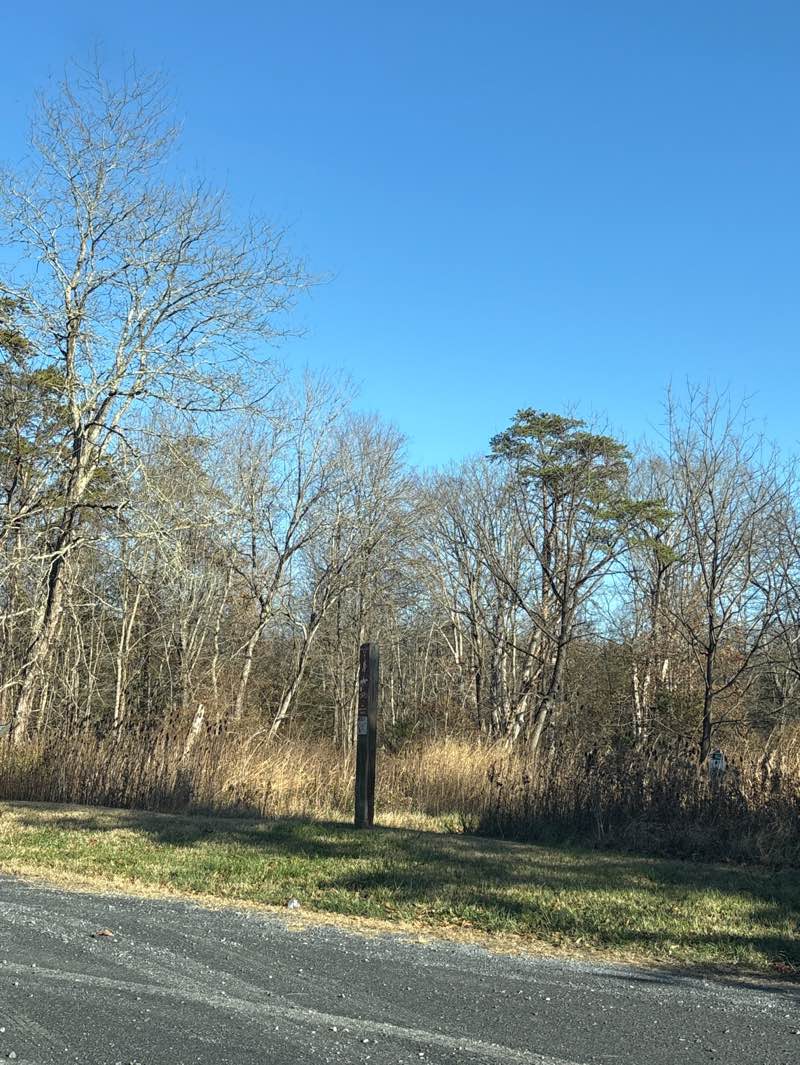 walking near me in Hoyles Mill Conservation Park in autumn