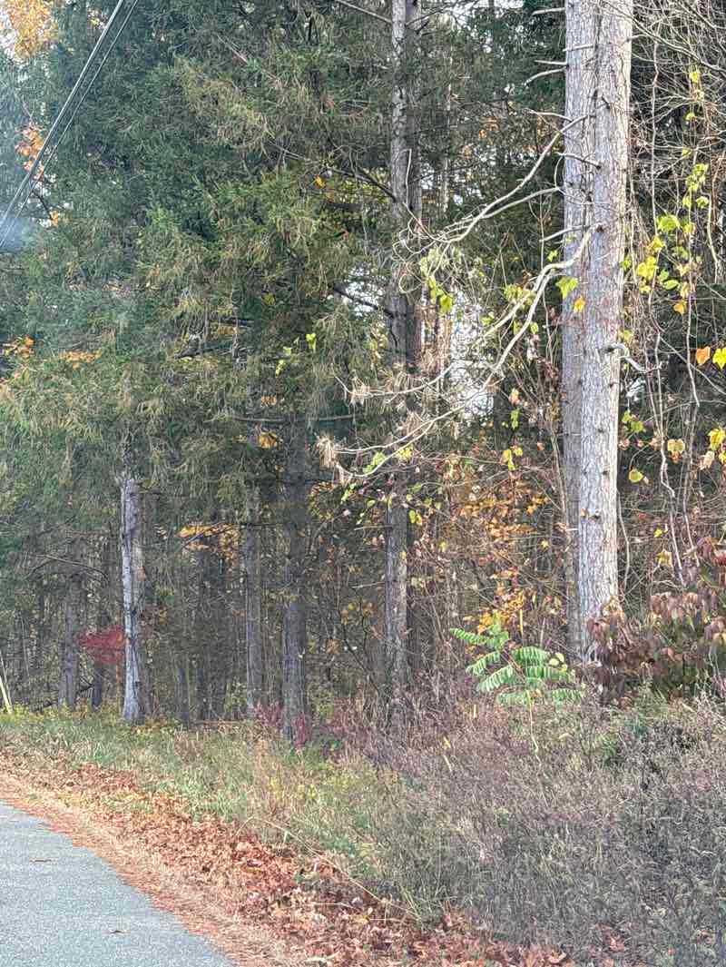 walking near me in Sunderland Town Park in autumn