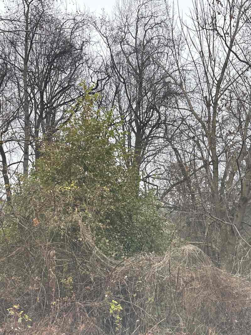 walking near me in Great Seneca Stream Valley Park in autumn