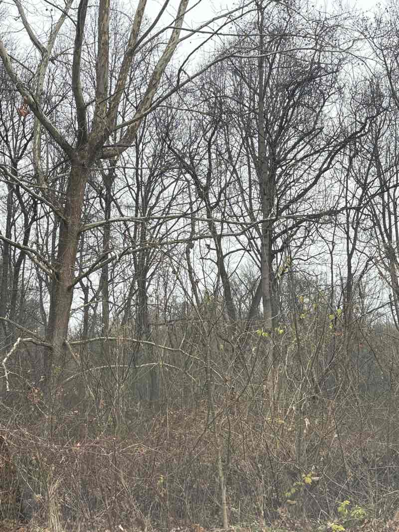 walking near me in Great Seneca Stream Valley Park in winter