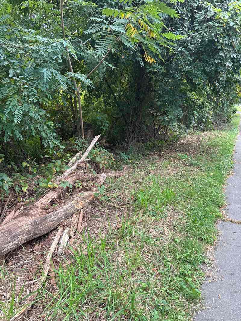 walking near me in Barrett St. Marsh in autumn