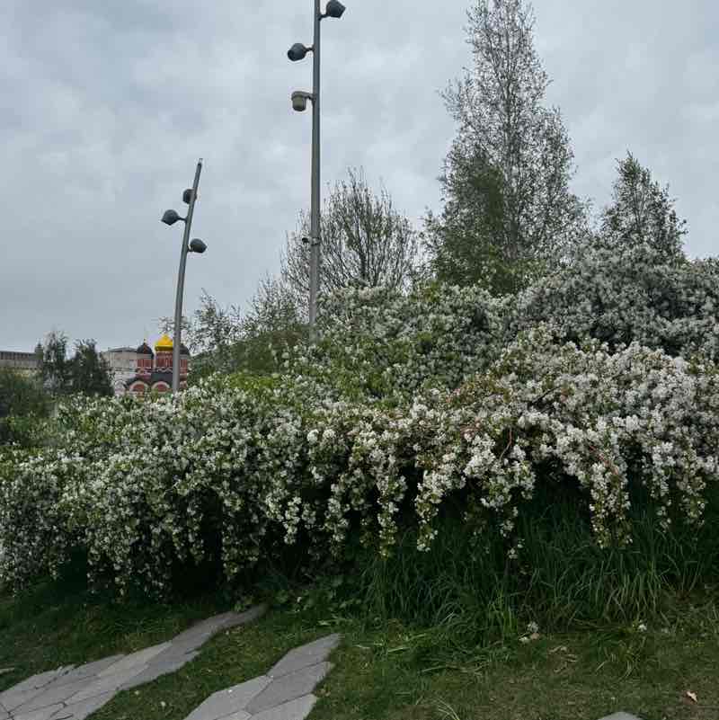 Olga post 3
