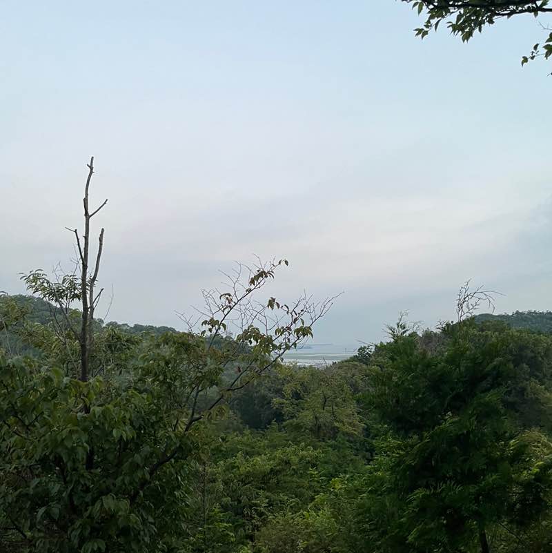 Running Through Darkness ung post image