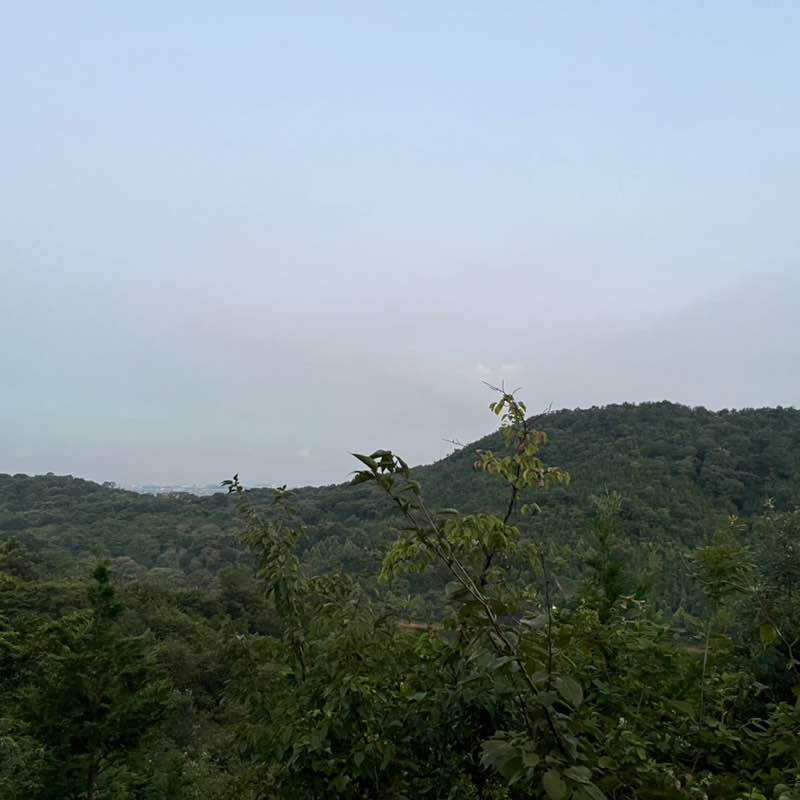 Running Through Darkness ung post image