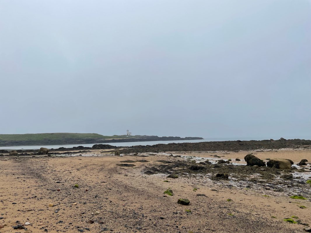 walking near me in Silverburn Park in spring