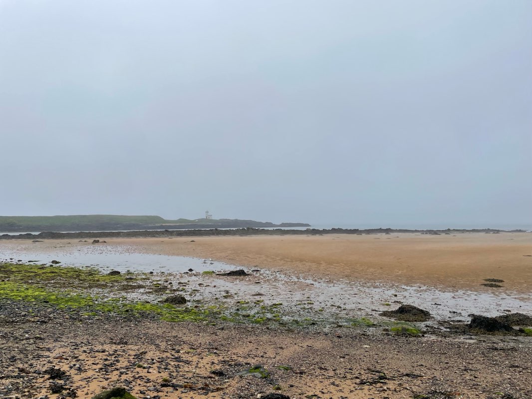 walking near me in Memorial Park in spring