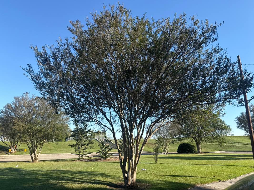 walking near me in Plaquemine Lock State Historic Site in autumn