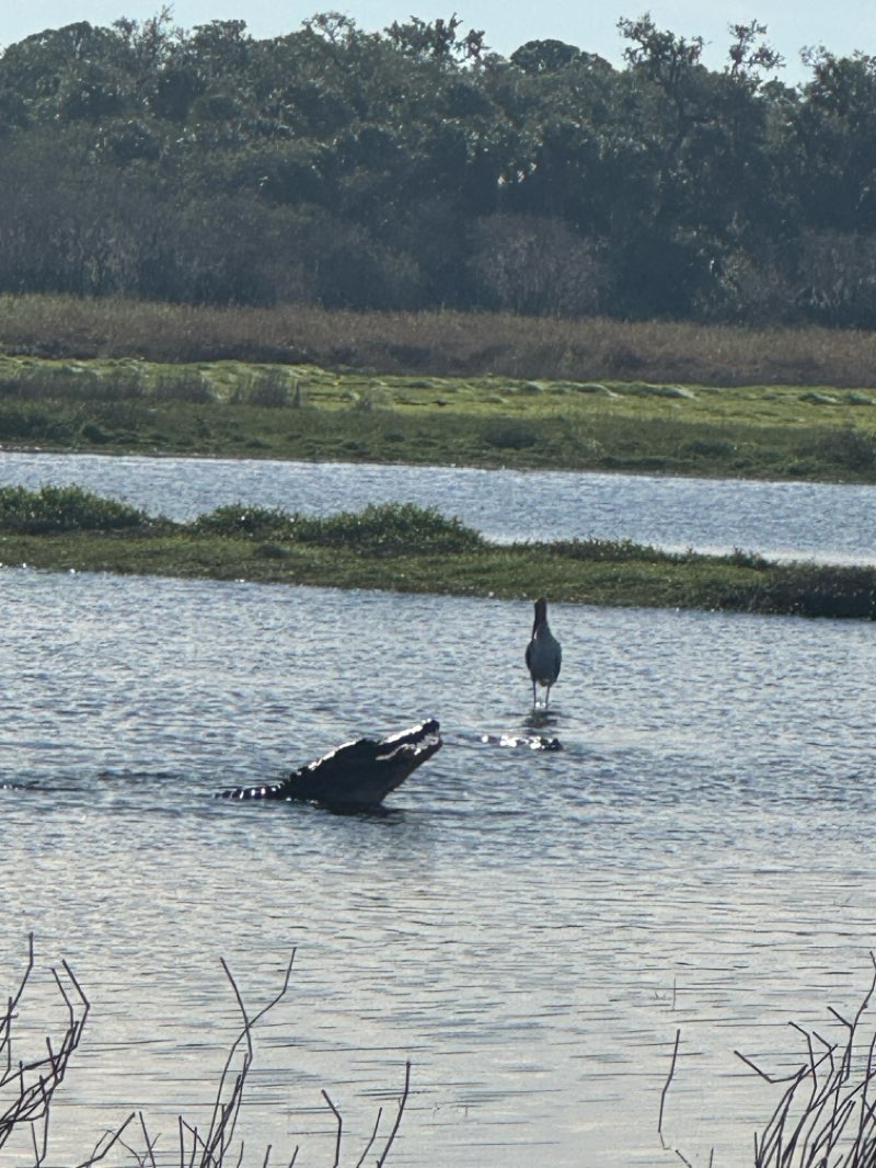 walking near me in Myakka River State Park in winter