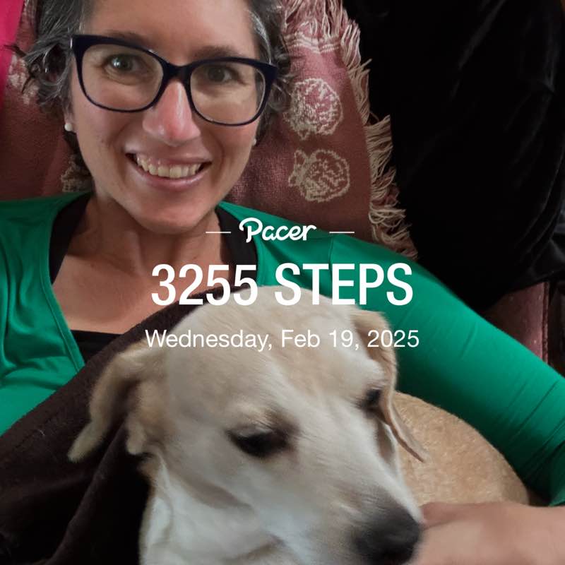 OneBoldButterfly🦋 post 1