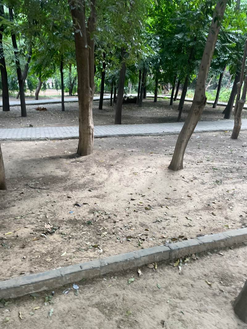 walking near me in Leisure Valley Park in autumn