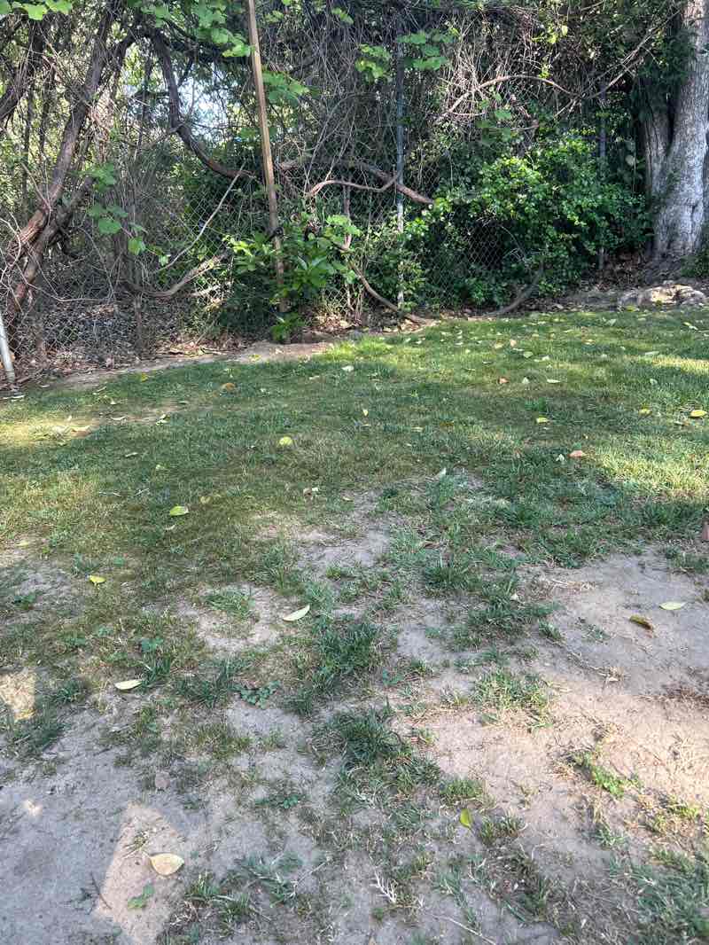 walking near me in Vincent Lugo Park in spring