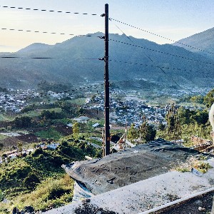 Triar junaidi profile