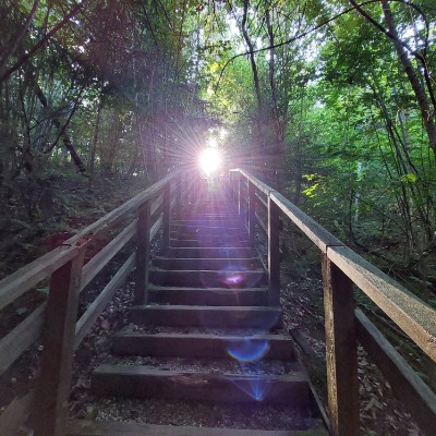 Fischer Digital Solutions Zilvinas post image