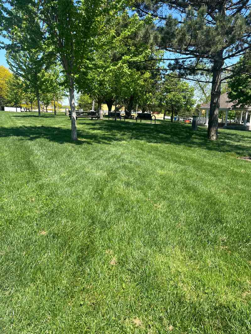 walking near me in Peace Park in spring