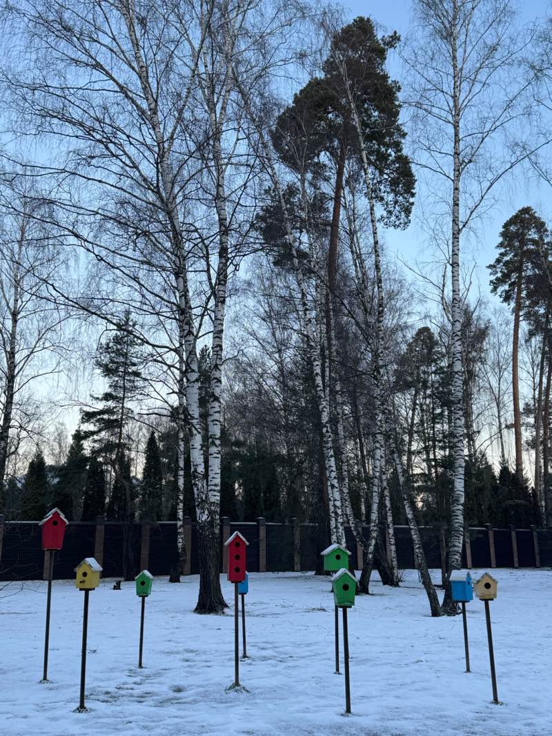 walking near me in Никольско-Архангельский парк in winter
