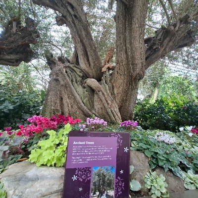 December 5k Race #3 Grace post image