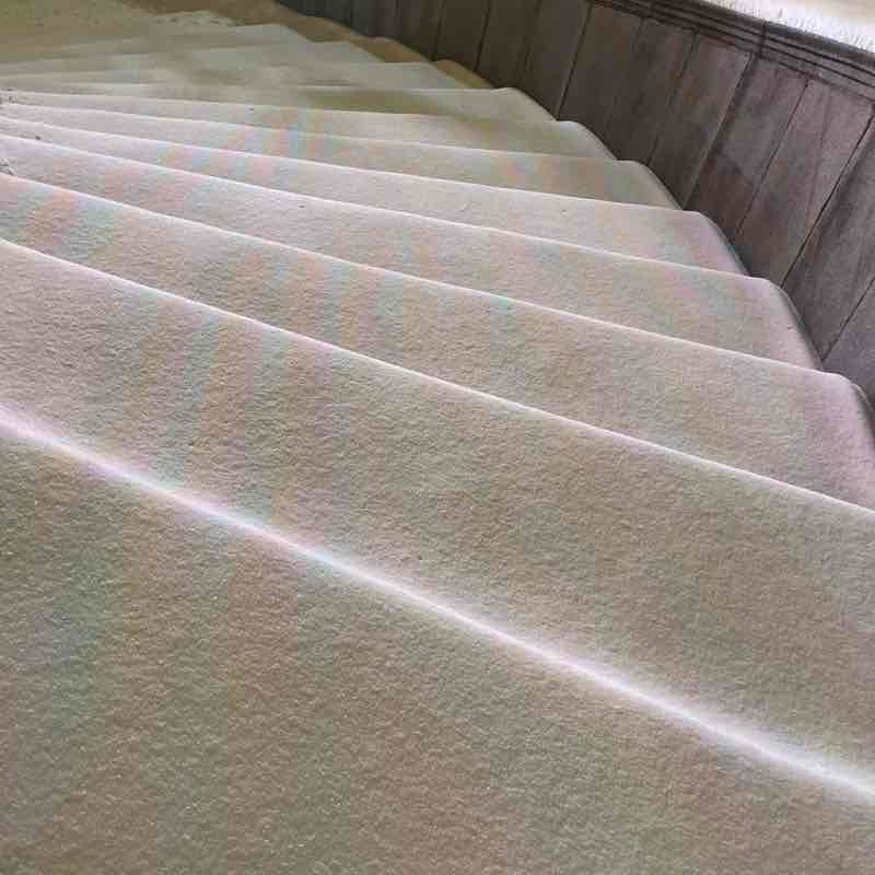 HAMOVNIKI MOVING FORWARD Elena post image