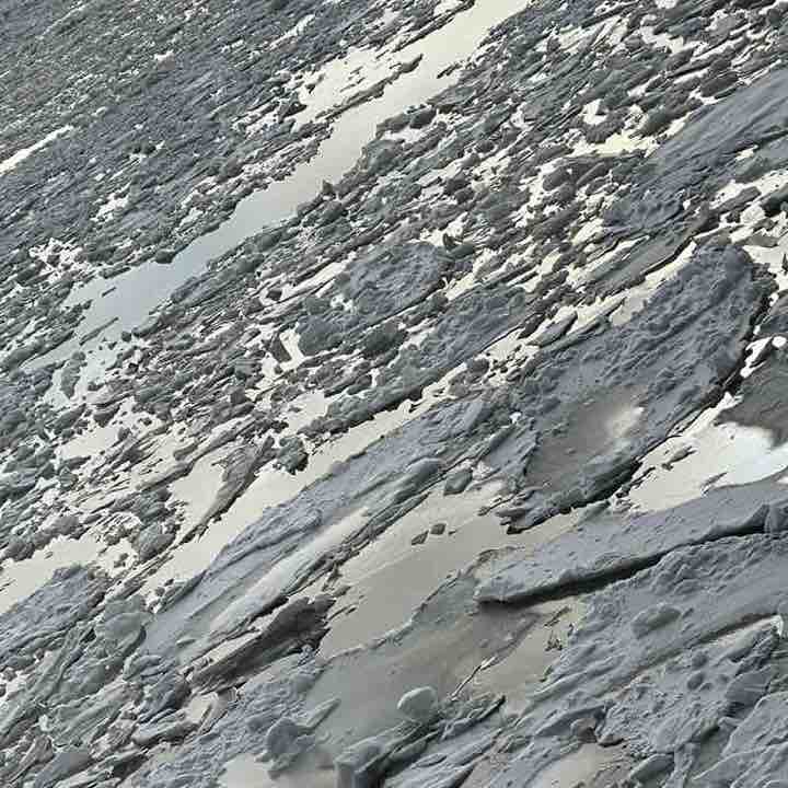 HAMOVNIKI MOVING FORWARD Elena post image