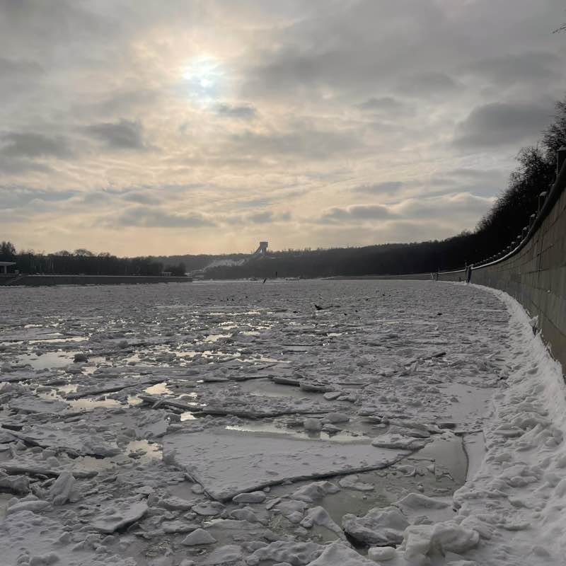 HAMOVNIKI MOVING FORWARD Elena post image