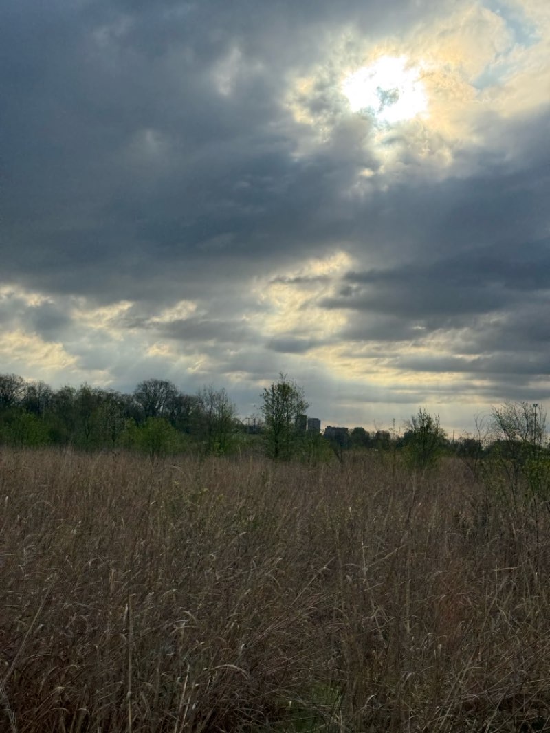 walking near me in Wesleyan MetroPark in spring