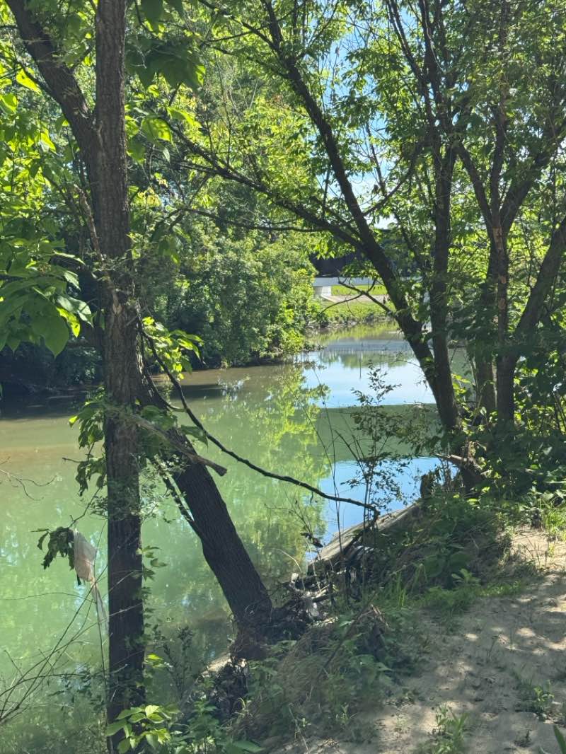 walking near me in Wesleyan MetroPark in summer