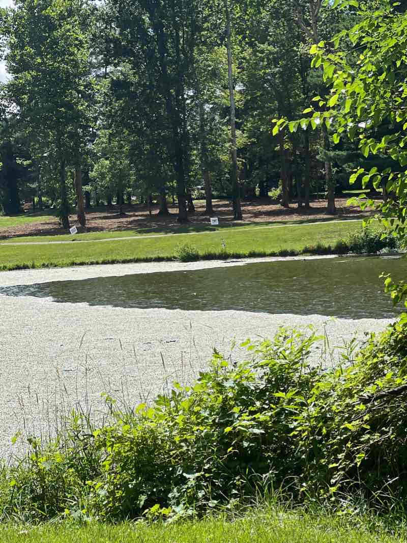 walking near me in Reservoir Park in winter