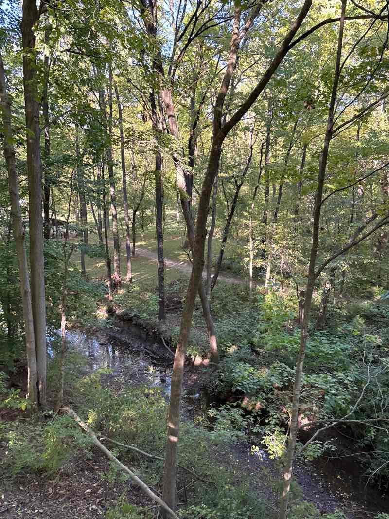walking near me in Cool Creek Park in autumn