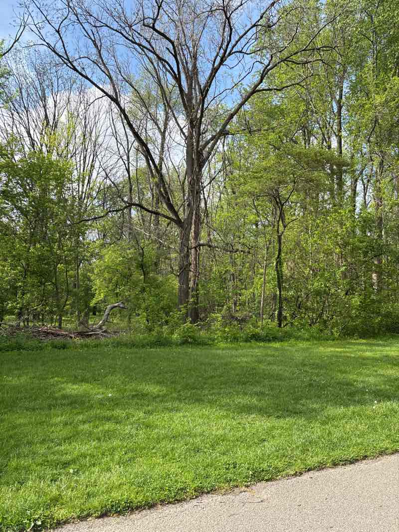 walking near me in Cool Creek Park in spring