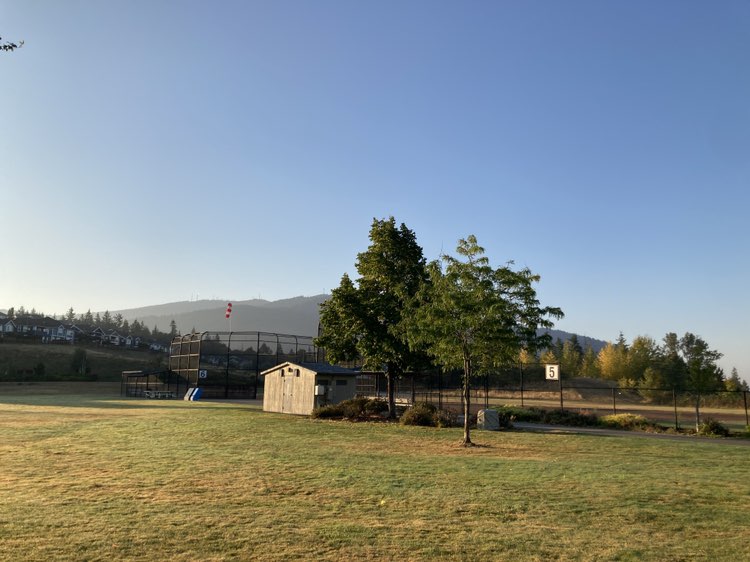 walking near me in Central Park in autumn