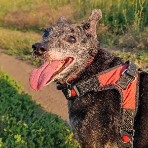 Мария Туркова profile