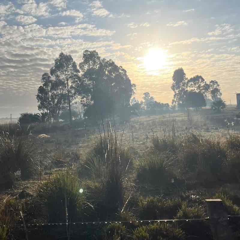 Dávila Alejandro 🇺🇾 🇺🇸 post image