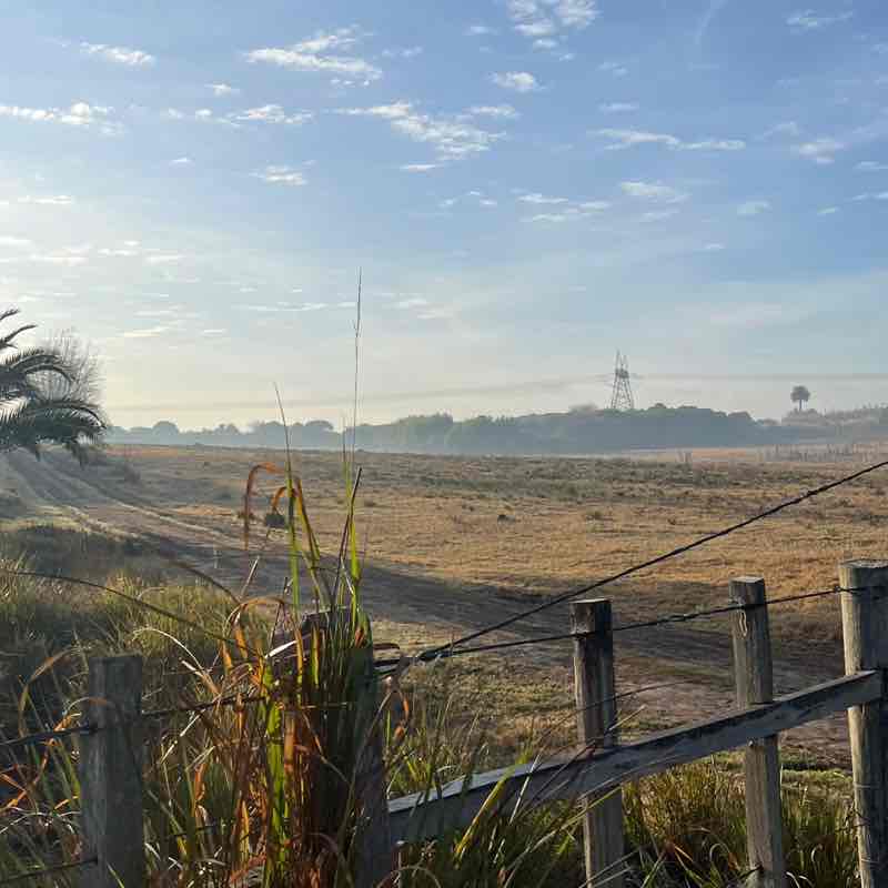 Dávila Alejandro 🇺🇾 🇺🇸 post image