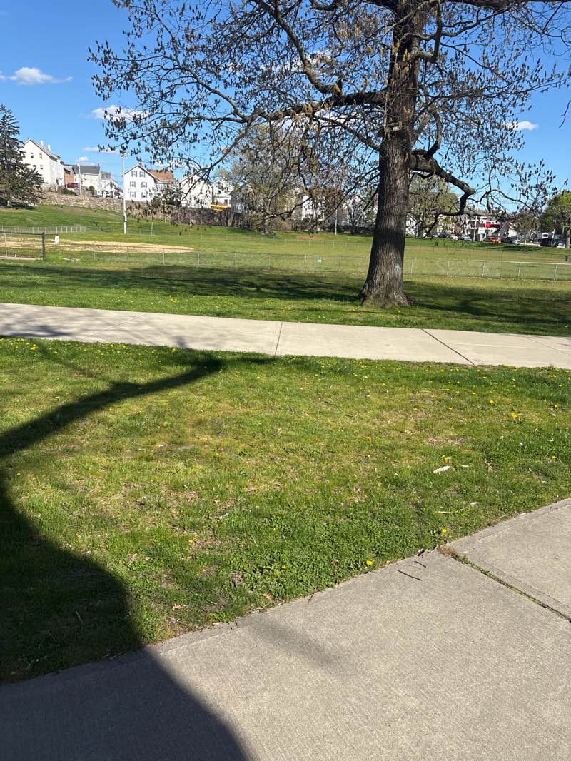 walking near me in Ruggles Park in spring